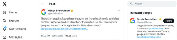 Google Confirms Indexing Bug